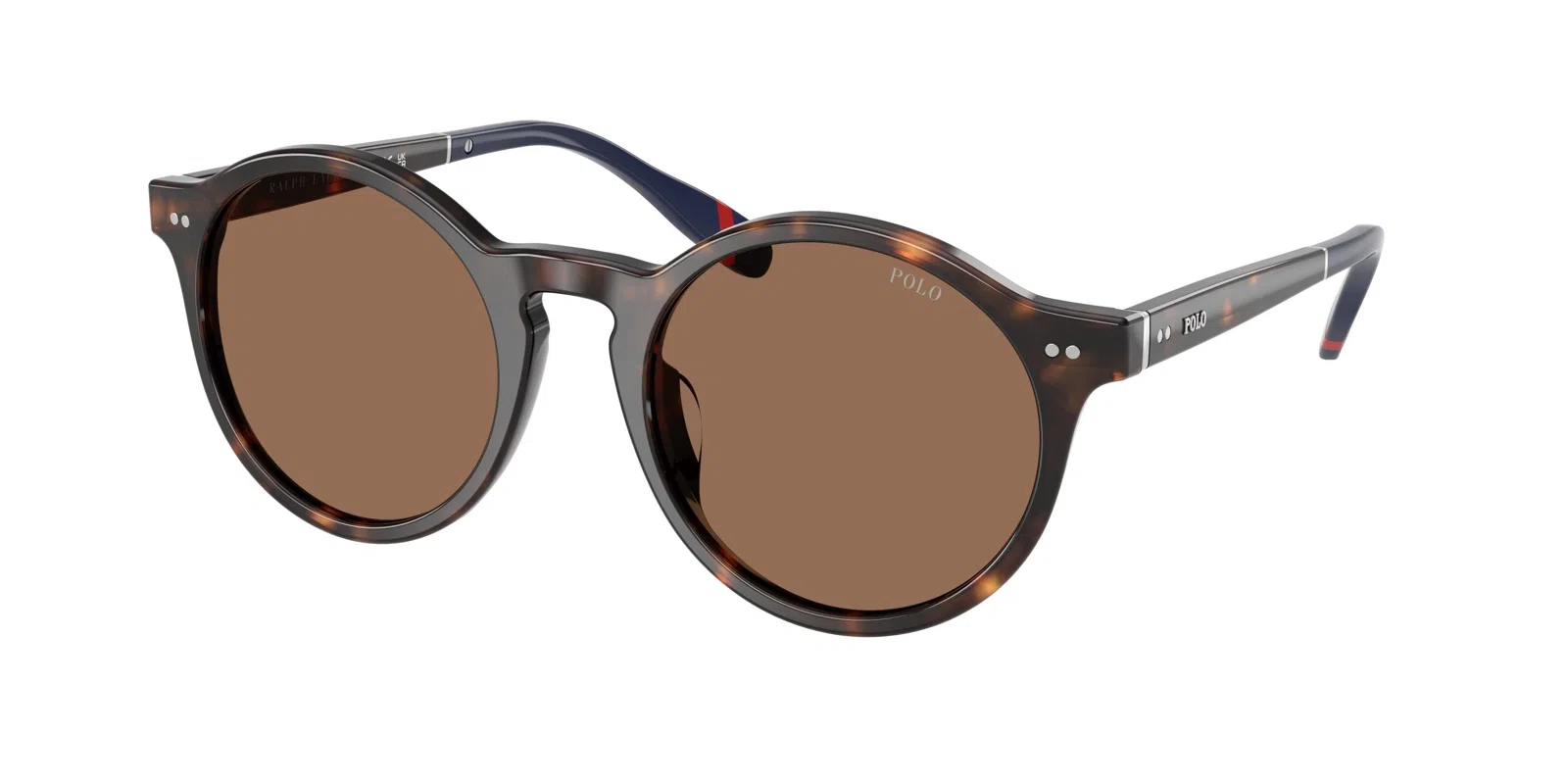Polo 4204U Sunglasses - view 7